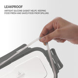 Blaze Leak Proof Airtight Food Tiffin Box