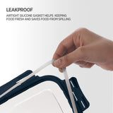Blaze Leak Proof Airtight Food Tiffin Box