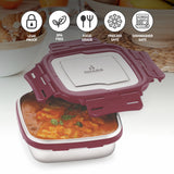 Blaze Leak Proof Airtight Food Tiffin Box