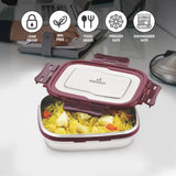 Blaze Leak Proof Airtight Food Tiffin Box