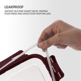 Blaze Leak Proof Airtight Food Tiffin Box