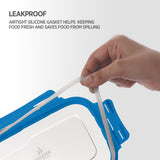 Blaze Leak Proof Airtight Food Tiffin Box
