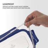Blaze Leak Proof Airtight Food Tiffin Box