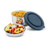 Thermi Star Double Wall Insulated Airtight Food Lunch Container